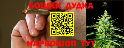 a pvp Краснодар