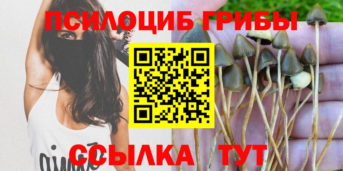 Кемерово  Галлюциногенные грибы Magic Shrooms  Вход с VPN  Псилоцибиновые грибы GOLDEN TEACHER 